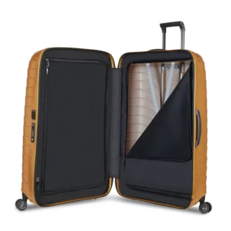Proxis stor spinner